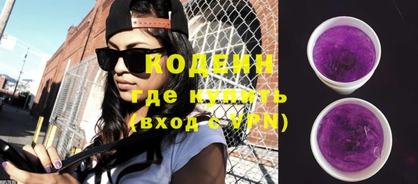 меф Вяземский