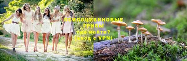 дживик Вязники