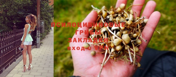 дживик Вязники
