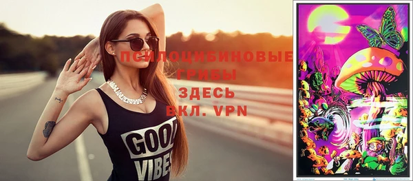 меф Вяземский