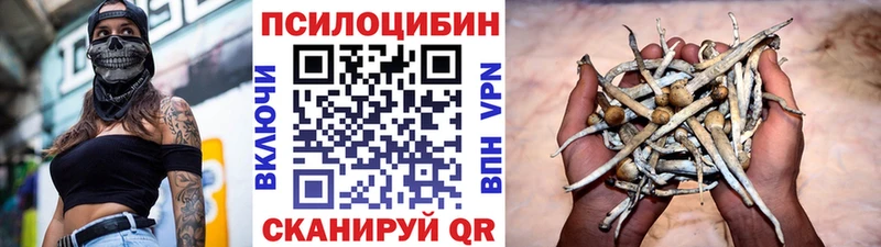 Псилоцибиновые грибы Cubensis  Ленинградская 