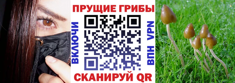 Галлюциногенные грибы GOLDEN TEACHER Ленинградская