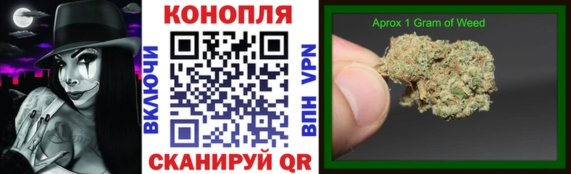 продажа наркотиков  Ленинградская  Шишки марихуана индика 